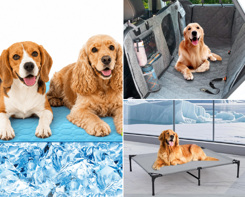 Pet Summer Survival: The Ultimate Outdoor Gear cover photo collage