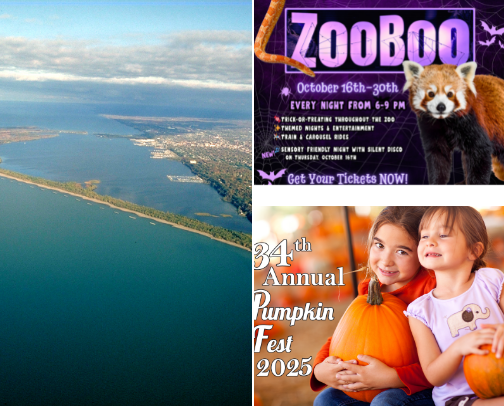 North Western PA Autumn Fun! 🍁💛 cover photo collage