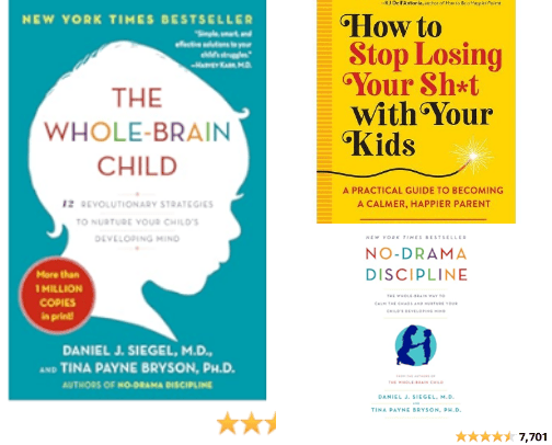 Social-Emotional Regulation and Child Development: Must-Reads on Amazon cover photo collage