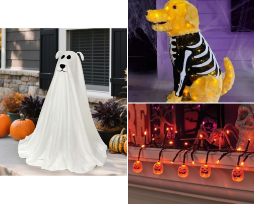 Halloween Holiday Decor cover photo collage