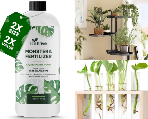 Plant Supplies cover photo collage