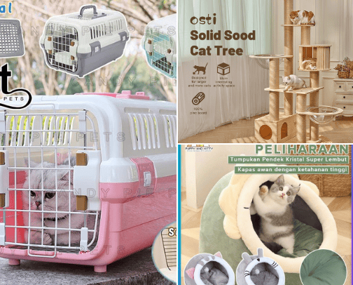 all things about cats that you must have 🐱🐈 cover photo collage