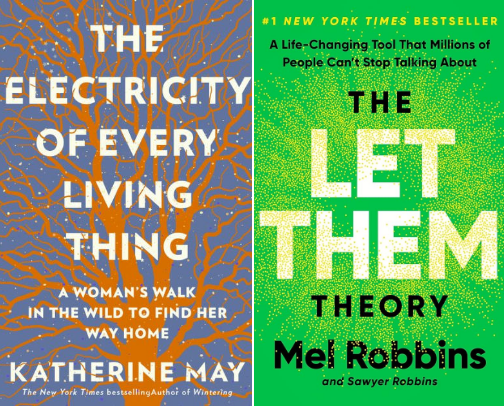 My favorite book recs cover photo collage