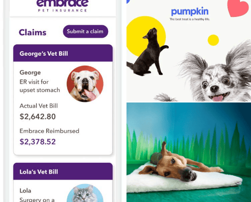 Best Ranked Pet Insurance for your Fur-Baby cover photo collage