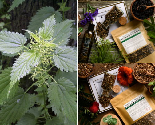 Herbal Healing! 🌿 cover photo collage