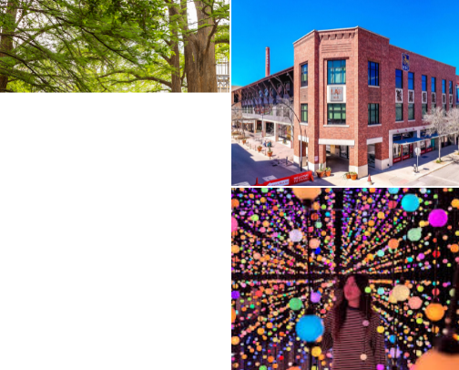 Things in San Antonio todo🐴🎉 cover photo collage