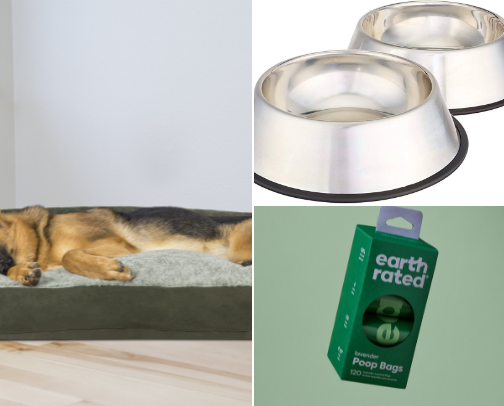 🐾 Pet Companions-Thoughful Comfort for Pets You Love. cover photo collage