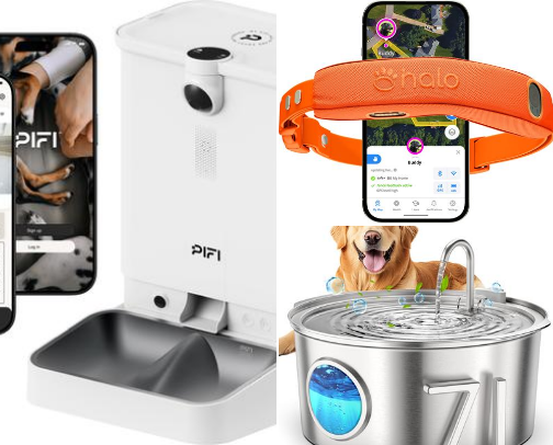 Must-Have Items for Your Beloved Pet cover photo collage