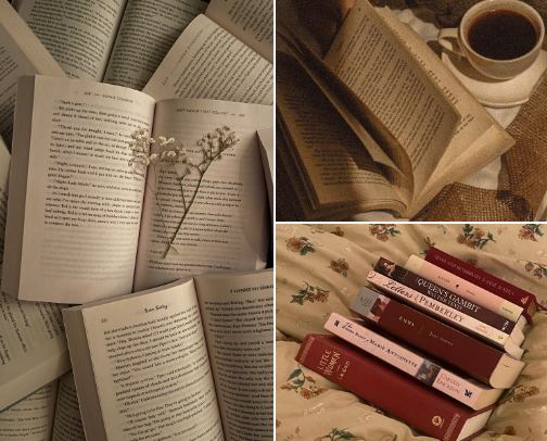 My favorite book recs cover photo collage