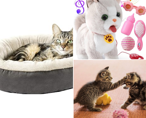 Cat Luxury Corner😍😍 cover photo collage