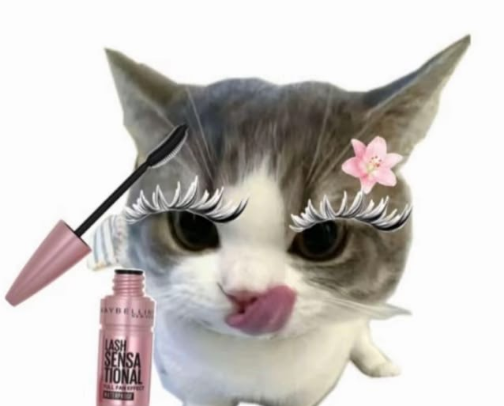 Best Makeup For Sensitive Skin! cover photo collage