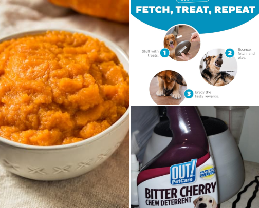 All your needs for a furry friend cover photo collage