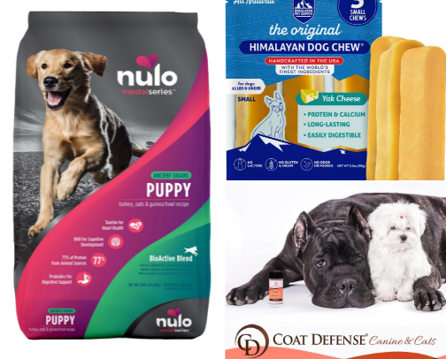 Frenchie Folds, Ears, Paws and Food cover photo collage