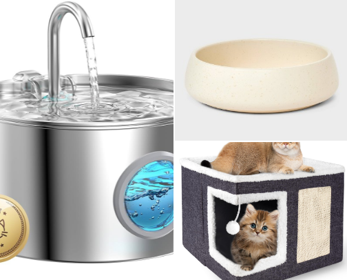 Pets 🐾 cover photo collage