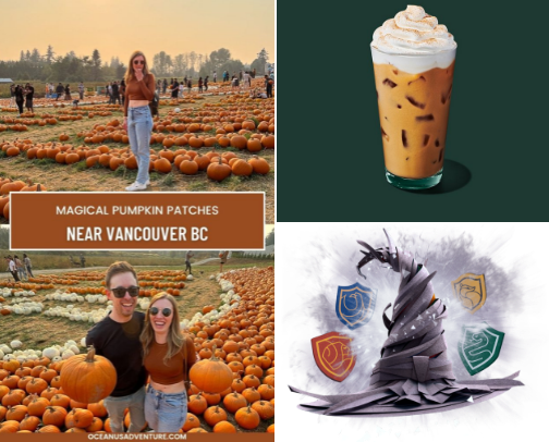Fall Essentials!! cover photo collage