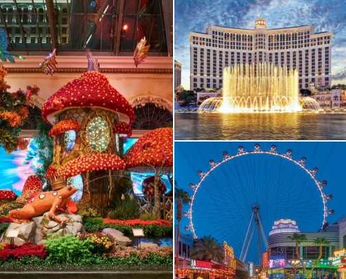 Fun Things To Do in Las Vegas cover photo collage
