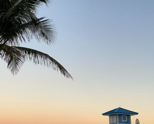 Things to do in Florida cover photo collage