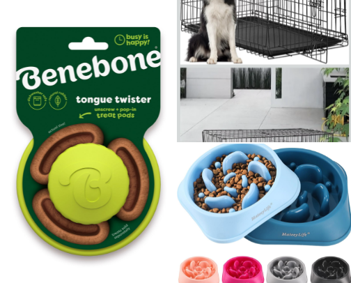Everything you need when you get a puppy 🐶 cover photo collage