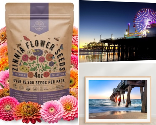 🌴 Things That Make Me Miss California cover photo collage
