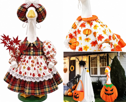 Porch Goose Outfit Ideas cover photo collage
