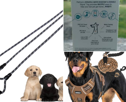 Pampered Pups cover photo collage