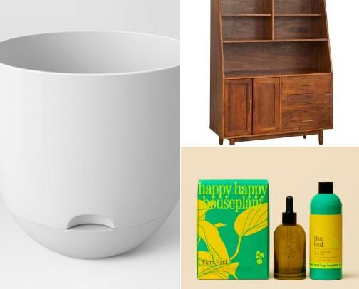 Plant lady 🌿🌱 cover photo collage