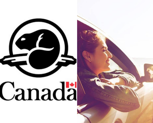 Life is a Highway! Road Trip Must Haves! cover photo collage