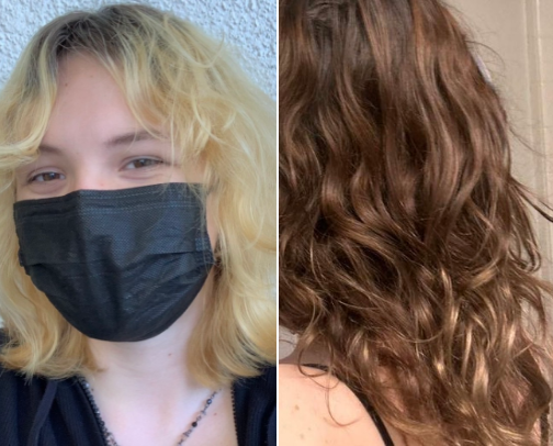 Best hair products for healthiness cover photo collage