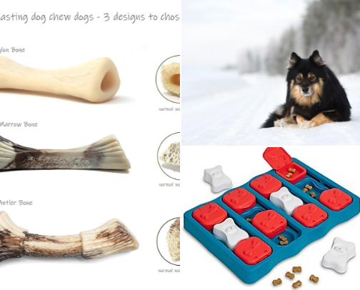 Enrichment & Chews: Keep Your Dog Mentally Sharp cover photo collage