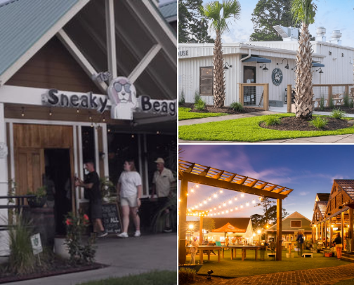 DOG FRIENDLY PLACES IN MYRTLE BEACH cover photo collage