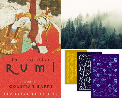 Starlight & Poetry: Timeless Reads for Quiet Evenings cover photo collage