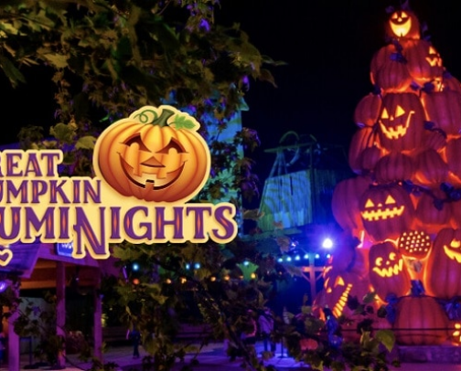 🎃 The Ultimate Halloween Shopping Guide: Costumes, Decor, Candy & Spooky Finds 👻 cover photo collage