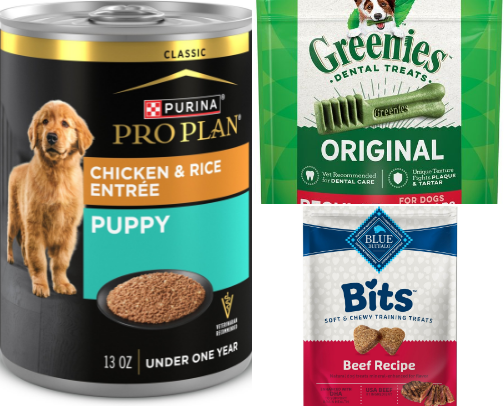 doggy time 🐾 Let’s get your furry friends taken care of ! cover photo collage