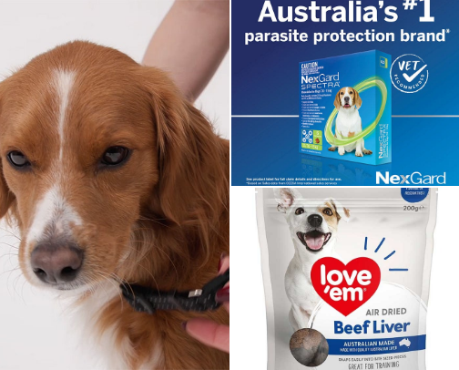 A Dogs Life cover photo collage