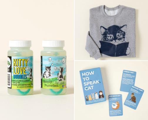 kittie fun cover photo collage