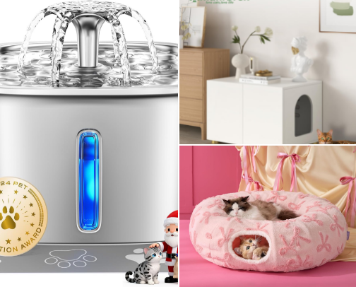 everything my cats own (i just pay for it) cover photo collage