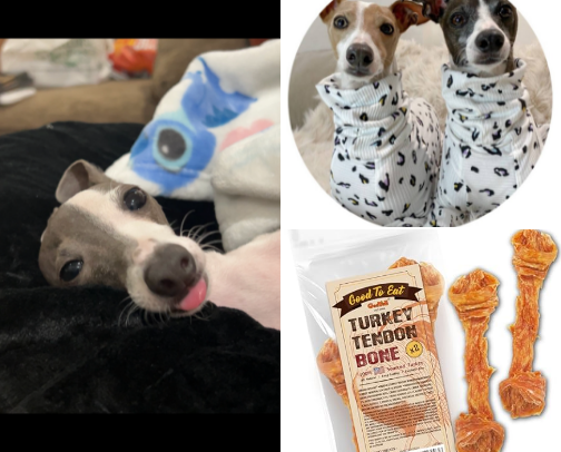 My Picky Pup’s Favorites 🐾 cover photo collage