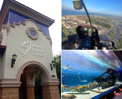 Things to do in South Texas cover photo collage