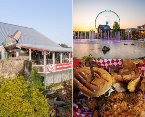 Top Pigeon Forge Recs cover photo collage