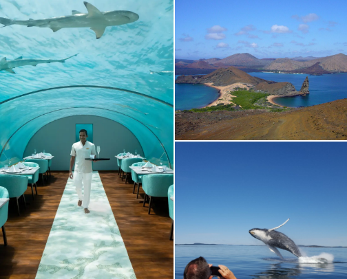 A Girl Can Dream: Places I'd love to visit cover photo collage