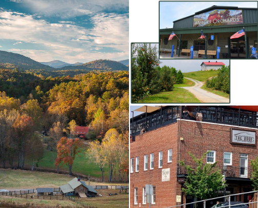 your guide to ATLANTA cover photo collage