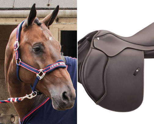 Equine must haves cover photo collage