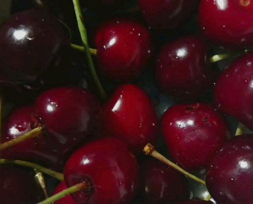Want to smell like cherries ? cover photo collage
