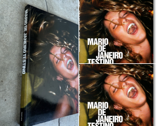 Download - Mario De Janeiro Testino photography for fashion and art lovers cover photo collage