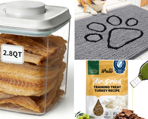 Dog Gear That Survived My Three Senior Rescue Dogs cover photo collage