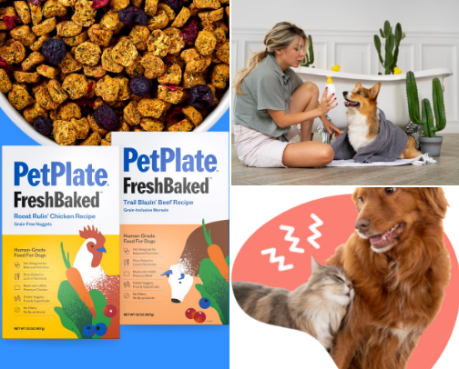 About PETS: healthy food,products,insurance.. and more🐾🫶🏼 cover photo collage
