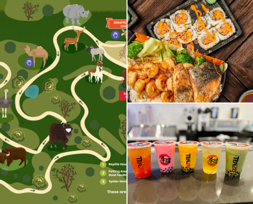 Ultimate DMV Travel Guide cover photo collage