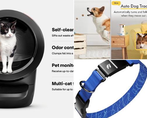 The "Spoiled Pet" Wellness Guide (2026 Edition) cover photo collage