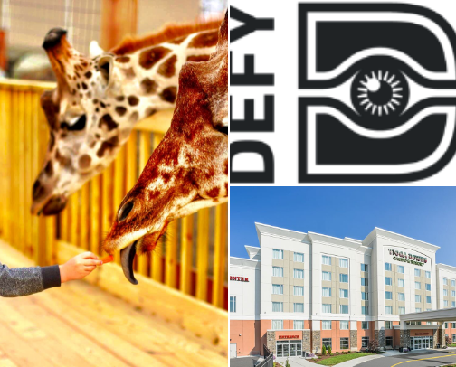 Where to visit in Upstate NY cover photo collage