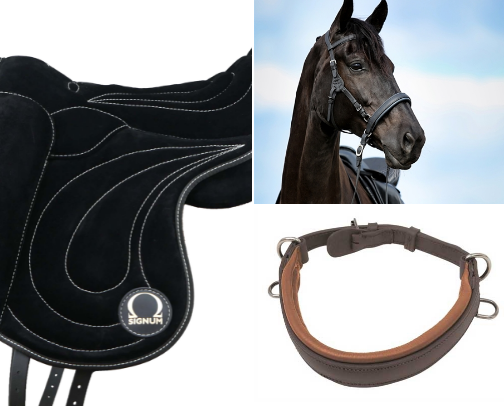 Gus wear cover photo collage